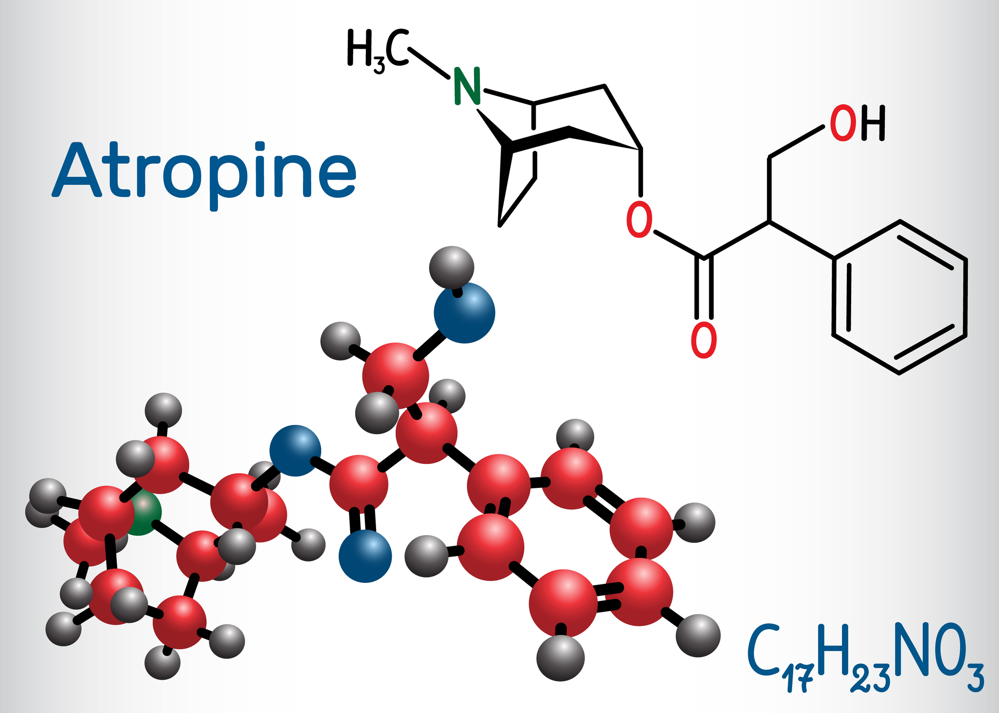 Atropine drug molecule. It is plant alkaloid. Structural chemical formula and molecule model