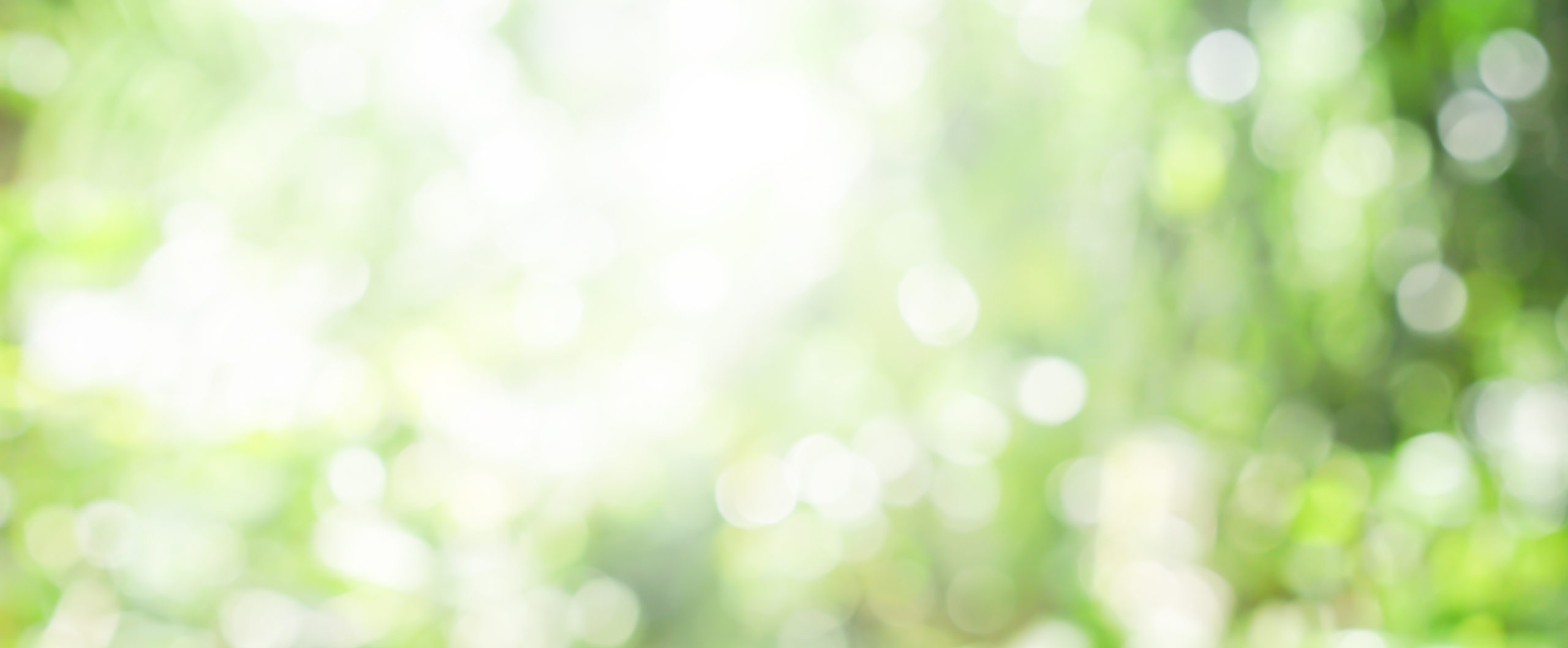 blurry green nature forest landscape background with sunlight flare:blurred bokeh natural backdrop