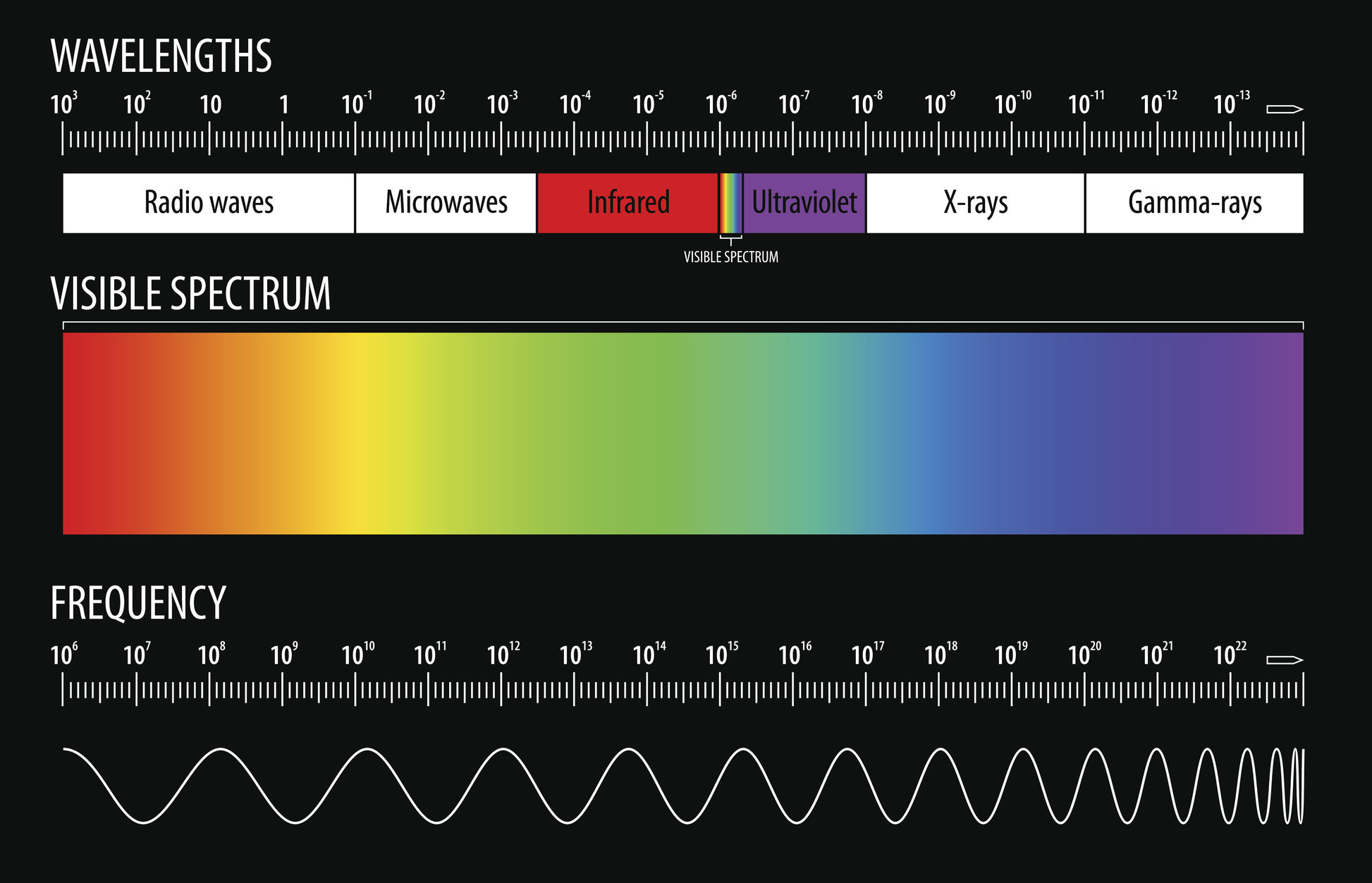 Electromagnetic Spectrum and Visible Light