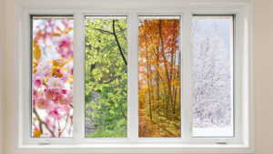 This image depicts seasonal variations. 