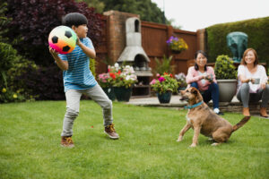 A young boy plays with a soccer ball with his dog and two older females in the background